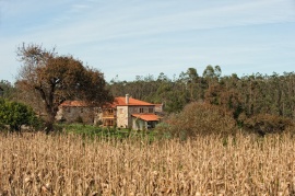 Casa de Trillo - vista